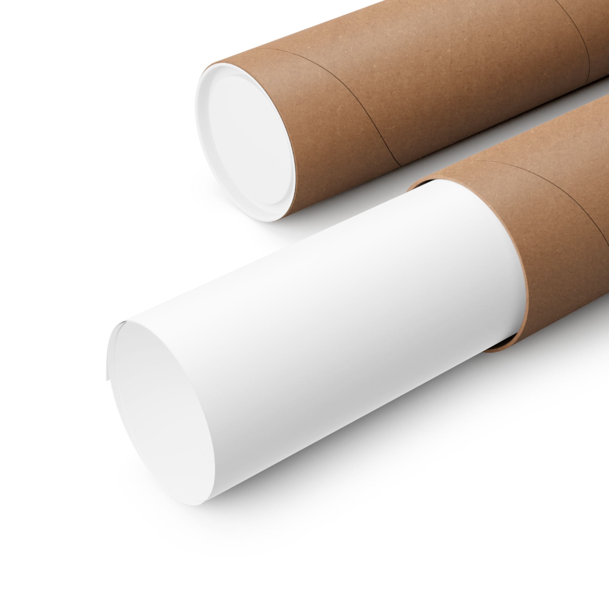The "Snake with Roses" large matte poster by Printify, crafted on museum-grade paper with archival inks, is partially slid out of a brown cardboard tube beside another tube on a white background. Available in 7 sizes.