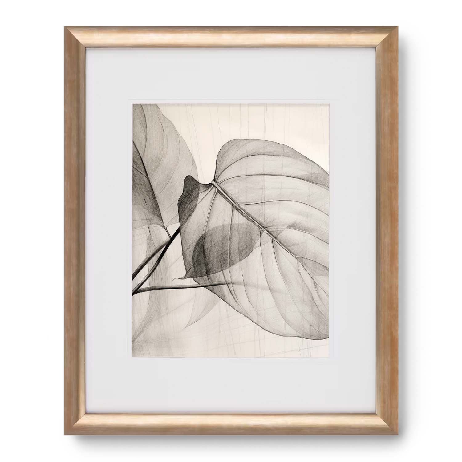 A black and white photograph of a Stannie & Lloyd leaf in a wood frame.