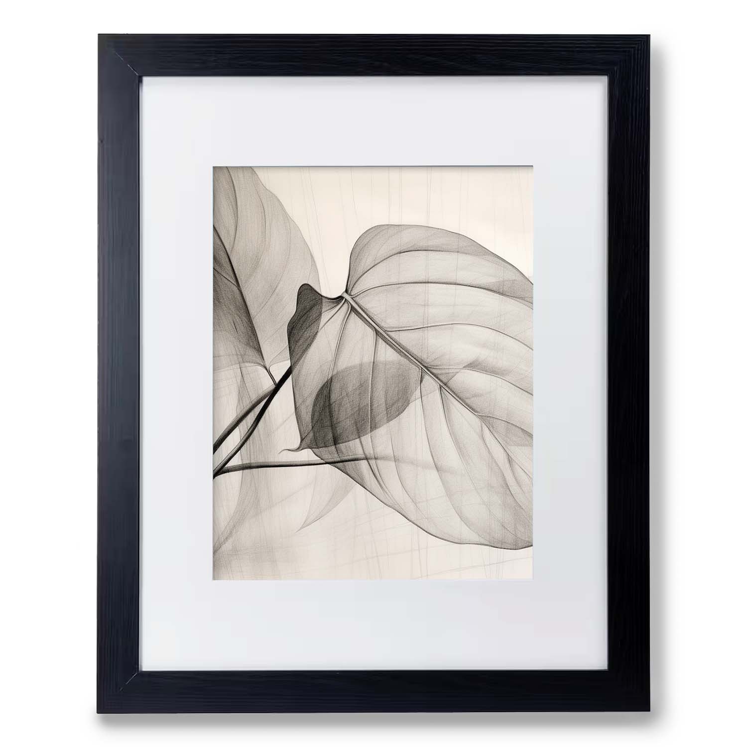 A framed black and white photograph of the Stannie & Lloyd Leaves, captured on high quality paper, showcasing a beautifully preserved leaf.